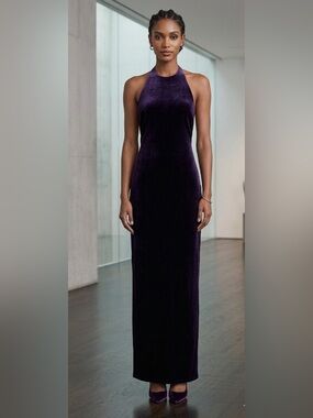 Laundry By Shelli Segal Velvet Maxi Dress in Deep Purple